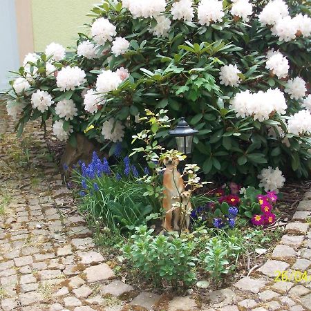 Giesis Wohlfuehloase Apartman Döbeln Kültér fotó
