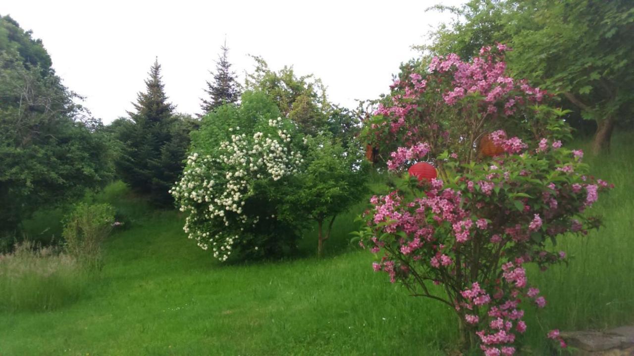 Giesis Wohlfuehloase Apartman Döbeln Kültér fotó